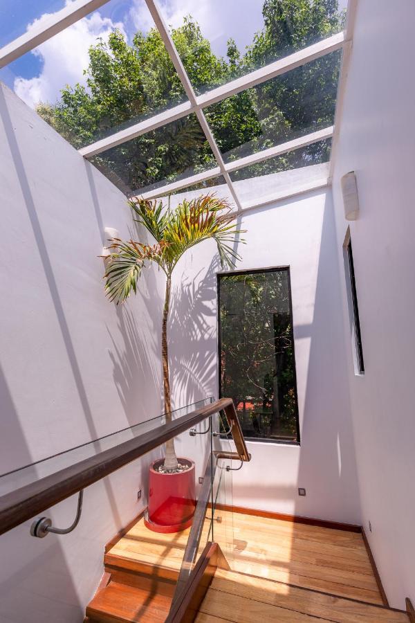 Casa Blanca In Coyoacan Mexiko-Stadt Exterior foto